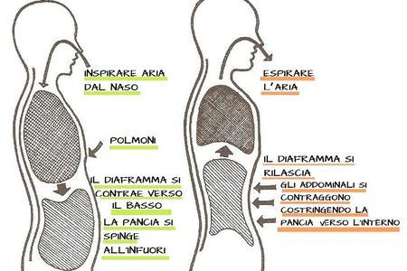 come-respirare-con-il-diaframma