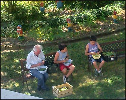 giugno2014 bisi