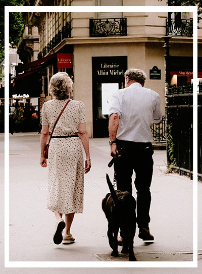 pet therapy lyddawear