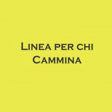 pantaloni per vestire persone con la pancia